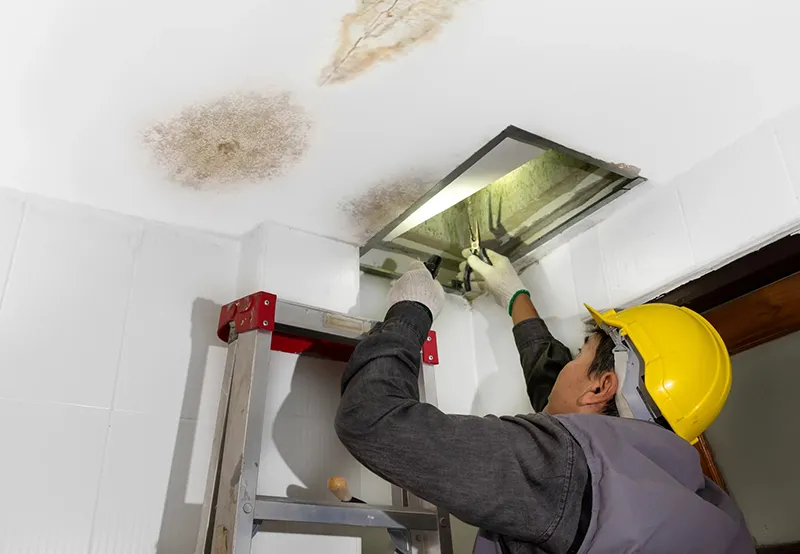 Thợ Sửa Trần Thạch Cao Thành Kính