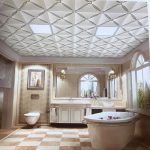 Mẫu Trần Nhựa 3d Nhà Vệ Sinh, Nhà Tắm