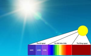 Phân Tích Thành Phần Trong ánh Nắng Mặt Trời