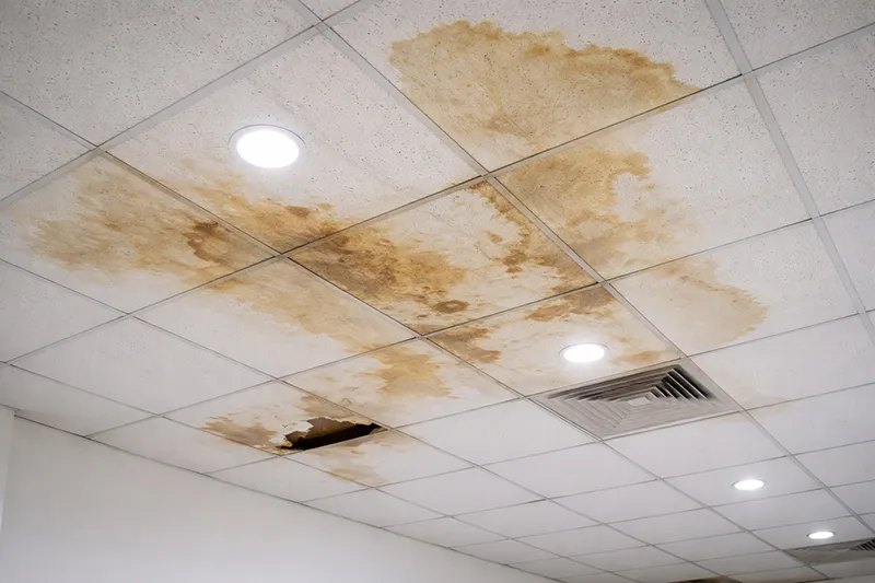 Trần Thạch Cao Thả Bị ố Vàng